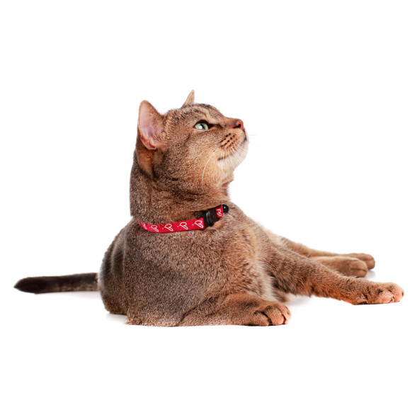 Hunter ошейник для кошек by Laura красная