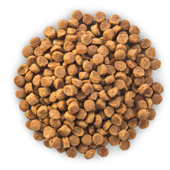 Сухой корм Hills Science Plan для пожилых собак (7+) мелких пород для поддержания активности и здоровья желудочно-кишечного тракта, с курицей - 300 г