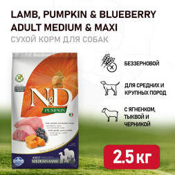 Farmina N&amp;amp;D Pumpkin Dog Grain Free Lamb &amp;amp; Blueberry Adult Medium &amp;amp; Maxi сухой беззерновой корм для взрослых собак средних и крупных пород с ягненком, черникой и тыквой - 2,5 кг