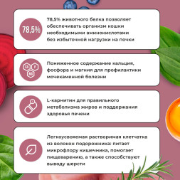 BOWL WOW сухой корм для стерилизованных кошек, с индейкой и свеклой - 4 кг