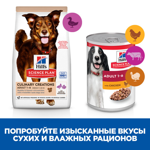 Hills Science Plan Culinary Creations сухой корм для взрослых собак средних пород для поддержания иммунитета, с уткой и картофелем - 2,5 кг