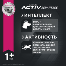 Сухой корм Eukanuba Adult Small Breed для собак мелких пород с курицей - 15 кг