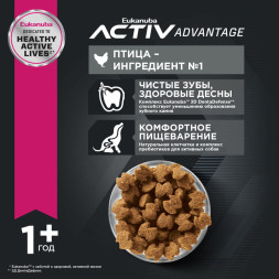 Сухой корм Eukanuba Adult Small Breed для собак мелких пород с курицей - 15 кг