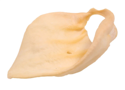 TiTBiT лакомство для собак ухо телячье большое