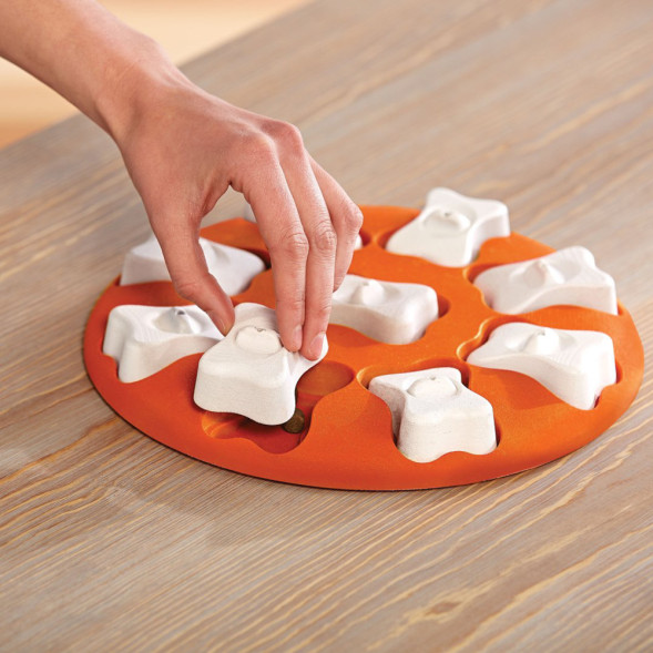 Nina Ottosson Smart игра-головоломка для собак, 1 уровень сложности (начинающий)