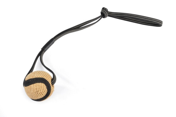 Camon игрушка для собак мяч джутовый для дрессировки с длинной ручкой, диаметр 7 см