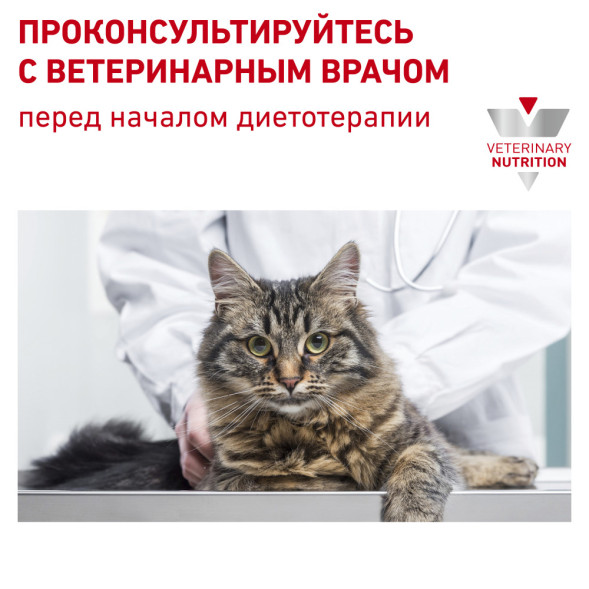 Royal Canin Renal RF23 для взрослых кошек с хронической почечной недостаточностью - 400 г