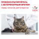 Royal Canin Renal RF23 для взрослых кошек с хронической почечной недостаточностью - 400 г