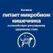 Сухой диетический корм для собак Hills Prescription Diet Gastrointestinal Biome при расстройствах пищеварения и для заботы о микробиоме кишечника, c курицей - 1,5 кг