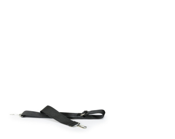 Camon сумка-переноска для кошек и собак базовая, 50x38x31 см