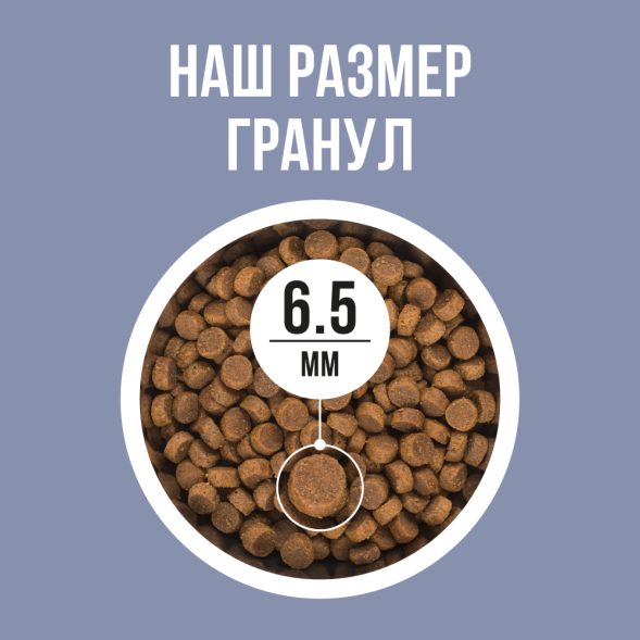 BOWL WOW сухой полнорационный корм для котят с курицей и черникой - 1,5 кг