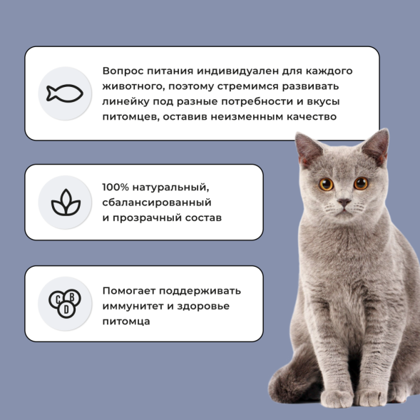 BOWL WOW сухой полнорационный корм для котят с курицей и черникой - 1,5 кг