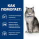 Hills Prescription Diet l/d Liver Care сухой диетический корм для кошек для поддержания здоровья печени с курицей - 1,5 кг