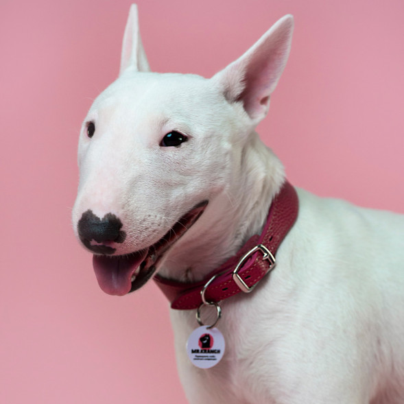 Mr.Kranch ошейник для собак из натуральной кожи с QR-адресником, 22-26 см, малиновый