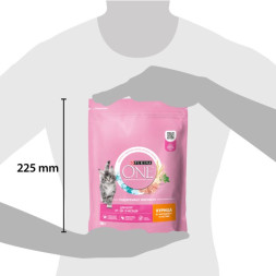 Сухой корм для котят Purina ONE с курицей и цельными злаками 200 г