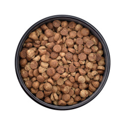 Smart Dog сухой корм для взрослых собак, с индейкой - 18 кг