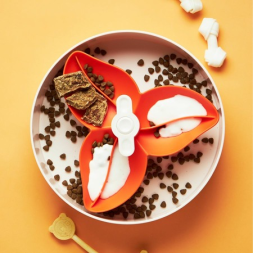 PetDreamHouse SPIN Interactive Feeder Bougainvillea Orange Easy интерактивная система кормления Спин - бугенвиллея, оранжевая - 550 г