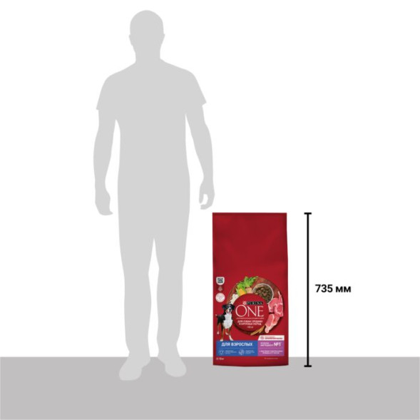 Сухой корм Purina ONE для взрослых собак средних и крупных пород с ягненком и рисом 10 кг