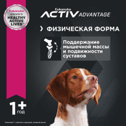 Сухой корм Eukanuba Adult Medium Breed для собак средних пород с курицей - 15 кг