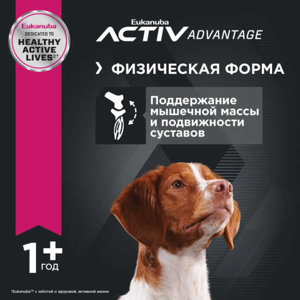 Сухой корм Eukanuba Adult Medium Breed для собак средних пород с курицей - 15 кг