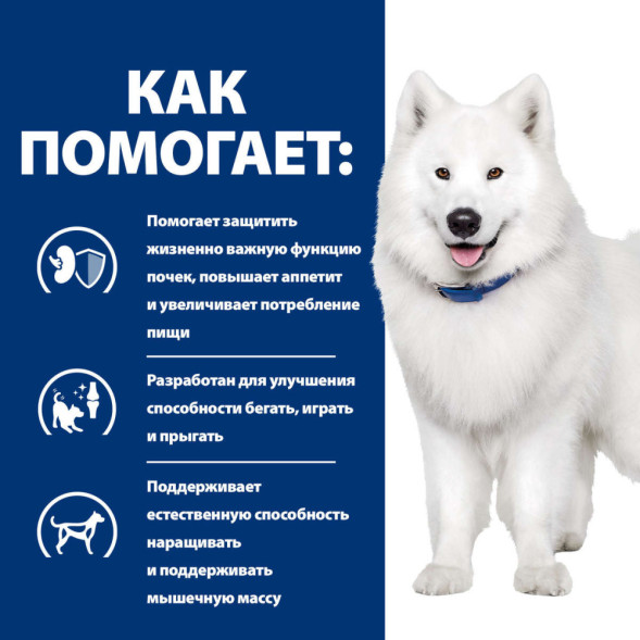 Hills Prescription Diet k/d j/d Kidney + Mobility сухой диетический корм для собак для поддержания здоровья почек и суставов одновременно - 12 кг