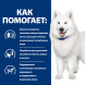 Hills Prescription Diet k/d j/d Kidney + Mobility сухой диетический корм для собак для поддержания здоровья почек и суставов одновременно - 12 кг