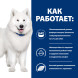 Hills Prescription Diet k/d j/d Kidney + Mobility сухой диетический корм для собак для поддержания здоровья почек и суставов одновременно - 12 кг