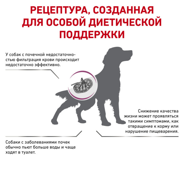 Royal Canin Renal для взрослых собак с хронической почечной недостаточностью - 2 кг