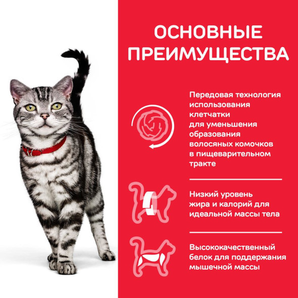 Сухой корм Hills Science Plan Hairball Indoor для выведения шерсти из желудка у домашних кошек, с курицей - 300 г