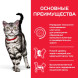 Сухой корм Hills Science Plan Hairball Indoor для выведения шерсти из желудка у домашних кошек, с курицей - 300 г