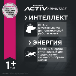 Сухой корм Eukanuba Adult Large Breed для собак крупных пород с курицей - 3 кг