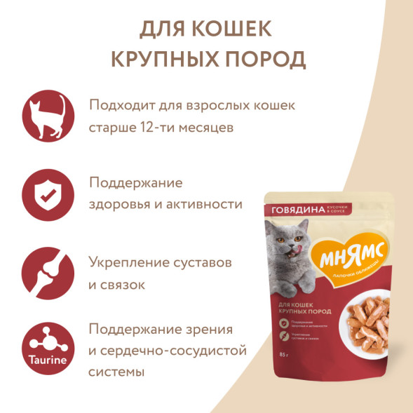 Мнямс влажный корм для крупных кошек кусочки с говядиной в соусе, в паучах - 85 г х 24 шт