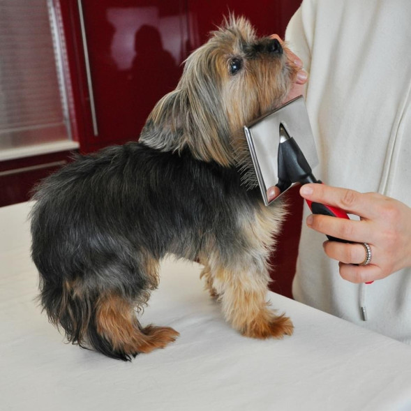 Camon пуходерка для собак, сталь, размер XL (11x7 см)