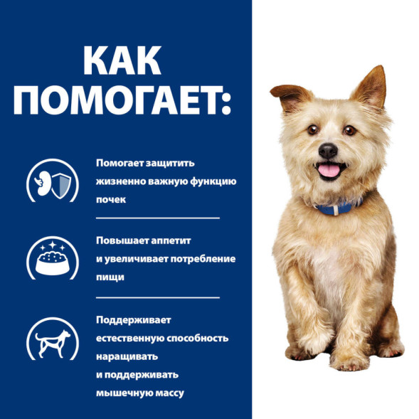 Hills Prescription Diet k/d Kidney Care сухой диетический корм для собак диета для поддержания здоровья почек - 12 кг