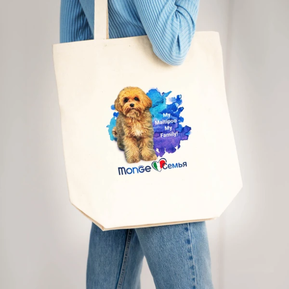 Monge Gift Shop Collection 2023 шоппер Мальтипу