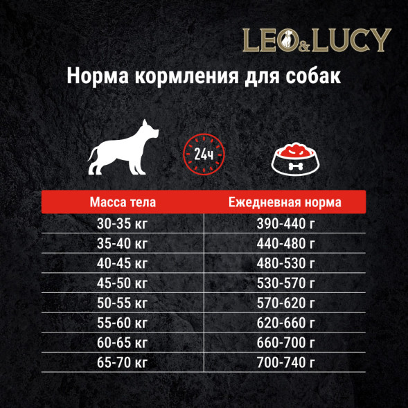 LEO&amp;amp;LUCY сухой холистик корм для взрослых собак крупных пород с ягненком и яблоком - 12 кг