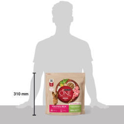 Сухой корм Purina ONE МИНИ Здоровый вес для собак мелких пород, склонных к набору веса с индейкой и рисом 1.5кг