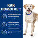 Hills Prescription Diet d/d Food Sensitivities сухой диетический корм для собак для поддержания здоровья кожи и при пищевой аллергии, с уткой и рисом - 12кг