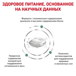 Royal Canin Diabetic Canine DS37 сухой корм для собак при ожирении 2 - й стадии или при сахарном диабете - 12 кг