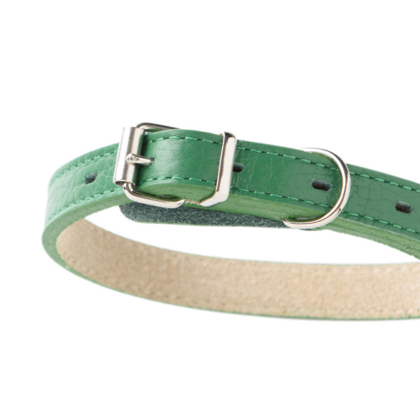 Mr.Kranch ошейник для собак, из натуральной кожи, прямой, 29-35 см, зеленый