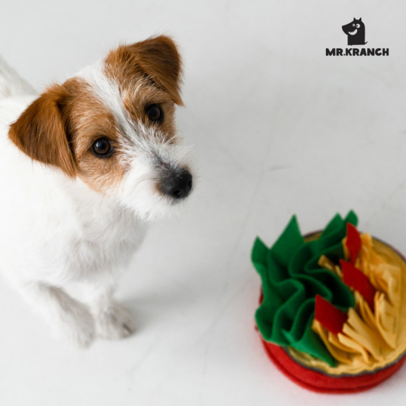 Mr.Kranch нюхательная игрушка Пицца, размер 18x18 см