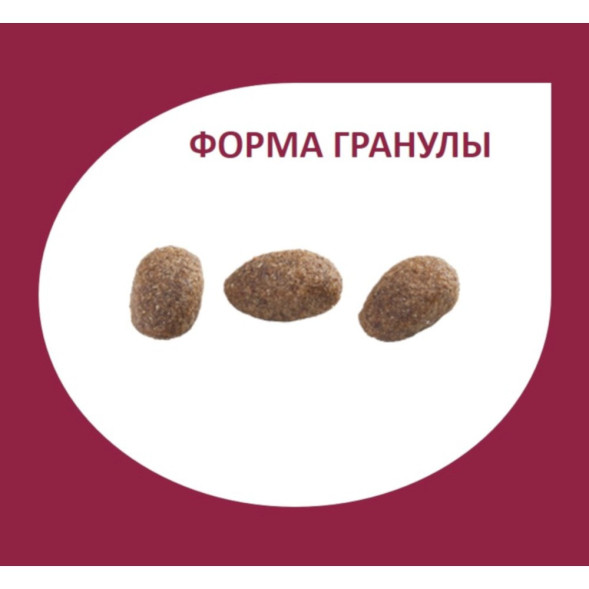 Granplus Gourmet Dog сухой корм для взрослых собак средних и крупных пород, с индейкой и рисом - 10,1 кг