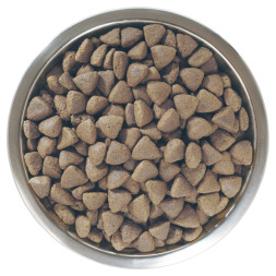 Pro Plan Opti Derma Large Athletic сухой корм для взрослых собак крупных пород с атлетическим телосложением при чувствительной коже с лососем - 14 кг