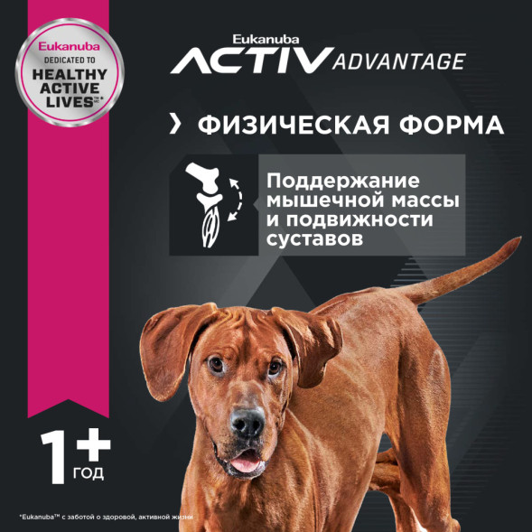 Сухой корм Eukanuba Adult Large Breed для собак крупных пород с курицей - 15 кг
