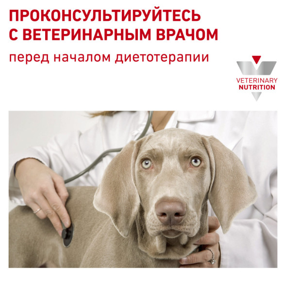 Сухой корм Royal Canin Hypoallergenic DR21 для собак свыше 10 кг при пищевой аллергии или непереносимости - 7 кг
