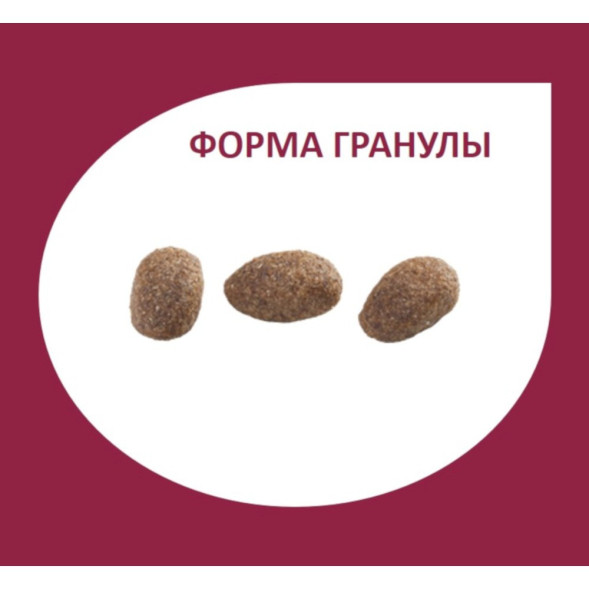 Granplus Gourmet Dog сухой корм для взрослых собак средних и крупных пород, с лососем и цыпленком - 10,1 кг