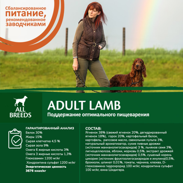 Wellness Core сухой корм для взрослых собак всех пород с ягненком и яблоком 10 кг