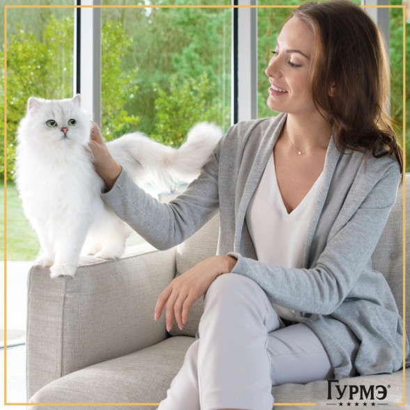 Гурмэ Натуральные рецепты влажный корм для кошек, тушеная говядина с томатами - 75 г х 26 шт