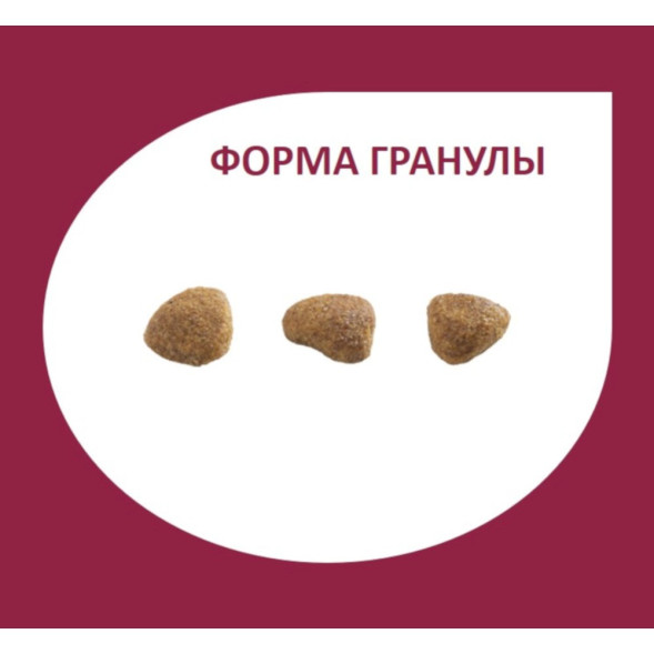 Granplus Gourmet Cat Sterilised сухой корм для взрослых стерилизованных и кастрированных котов и кошек лосось и цыпленок - 3 кг