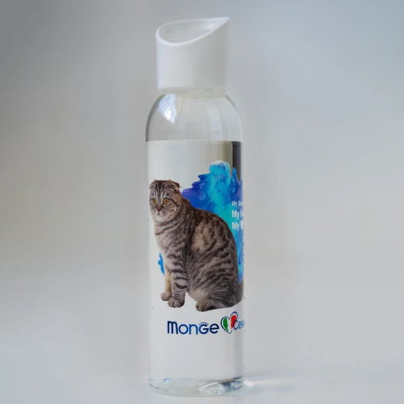 Monge Gift Shop Collection 2023 бутылка для воды Шотландская полосатая кошка